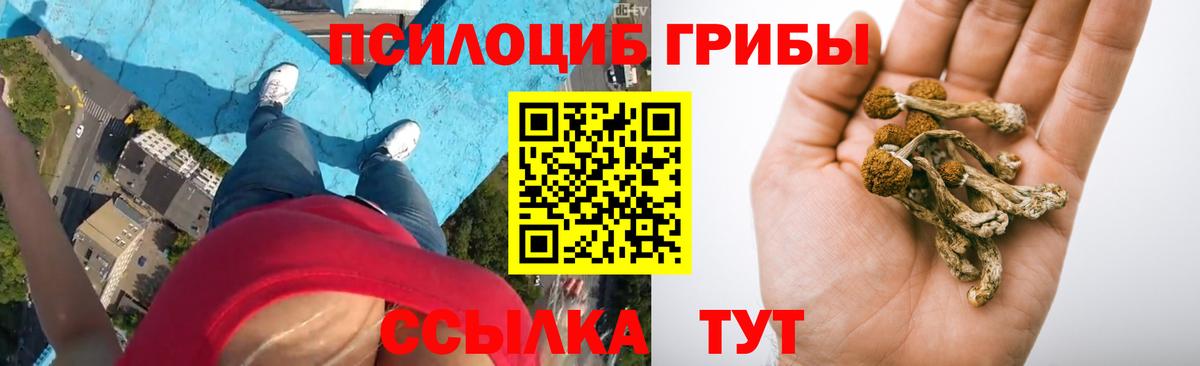 Екатеринбург  Галлюциногенные грибы Psilocybe  как найти закладки  Вход с VPN 